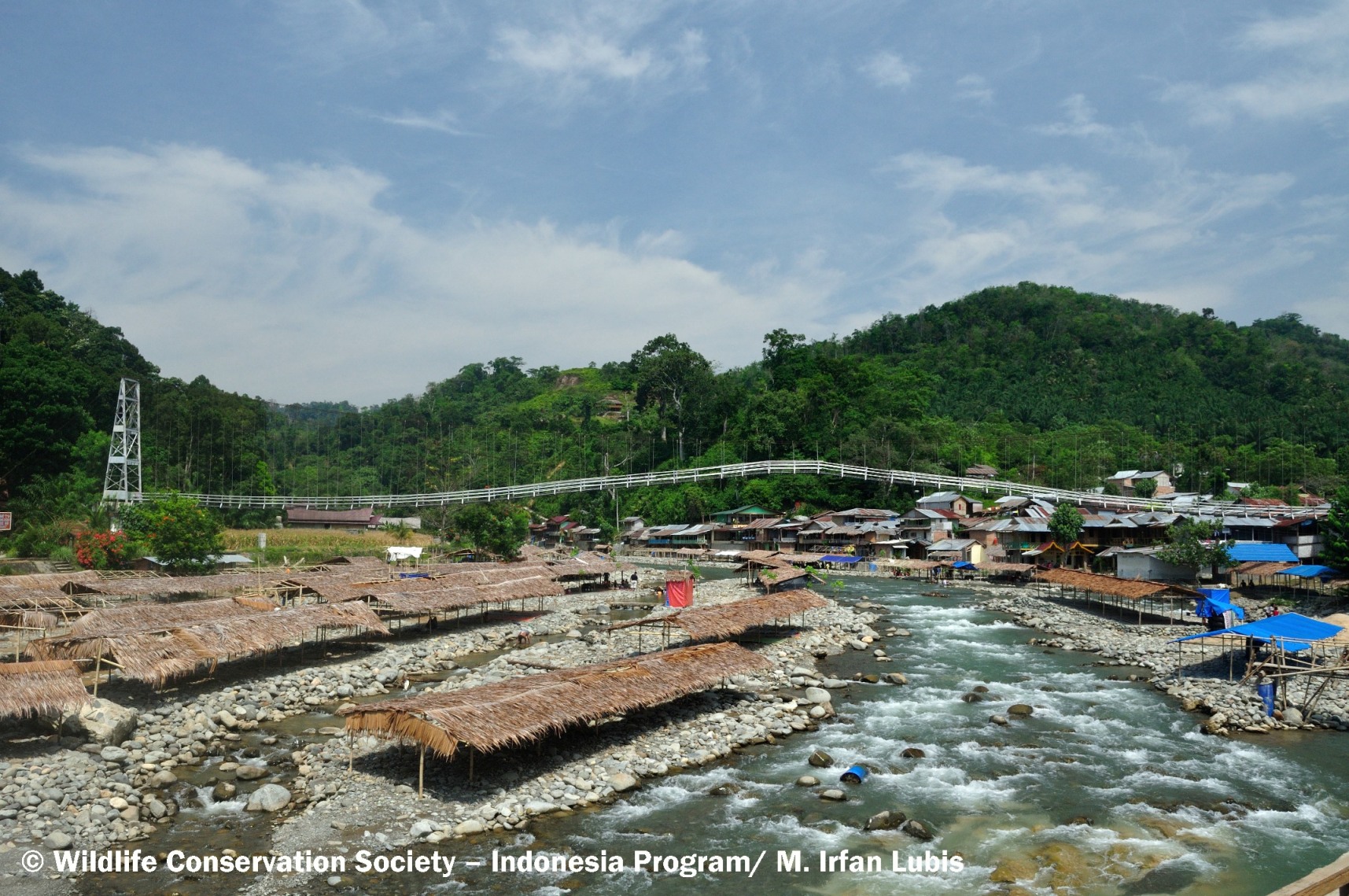 Taman Nasional Gunung Leuser Konservasi Dan Pariwisata Yang