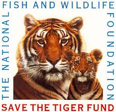 The National Fish and Wildlife Foundation Save Tiger Fund The National Fish and Wildlife Foundation Save Tiger Fund