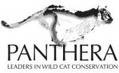 Panthera