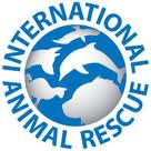 International Animal Rescue International Animal Rescue